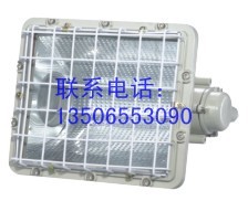 供应BTD-250/400系列防爆泛光灯(ⅡB)